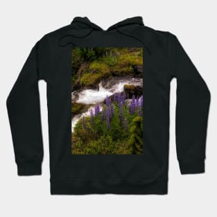 Larkspurs Hoodie